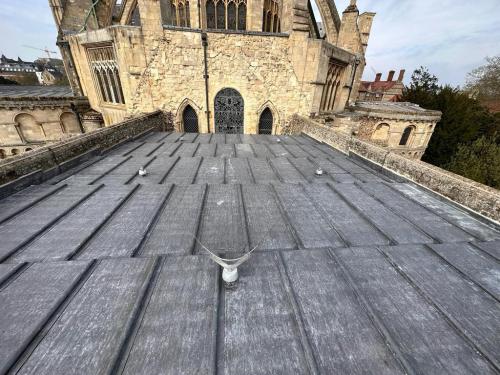 NorwichCathedralCompletion (5)