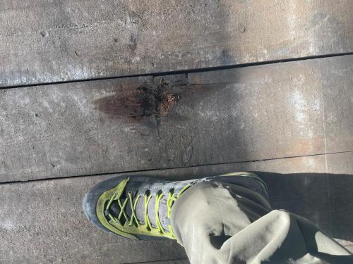 NorwichCathedrealStSaviorChapel_LeadStrip (11)