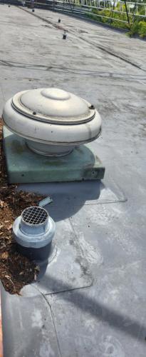 SouthCourtCambridge (6)