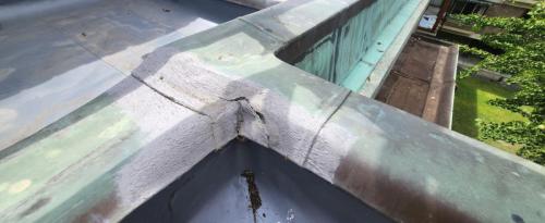 SouthCourtCambridge (8)